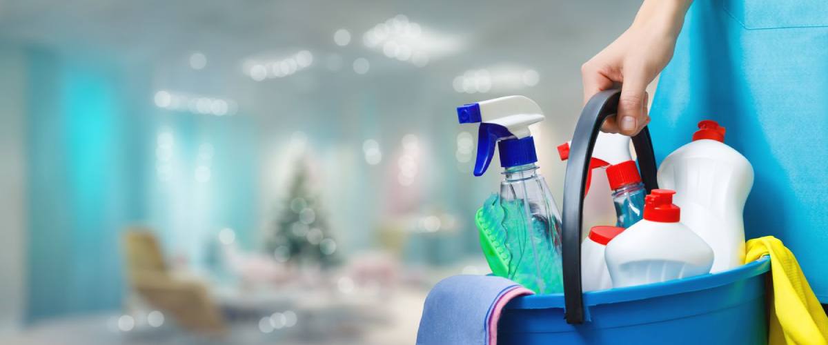 EECS Residential Cleaning